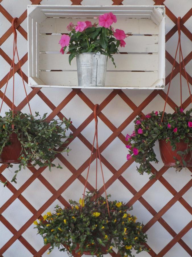 Bed and Breakfast Playa Dei Turchi Realmonte Exterior foto